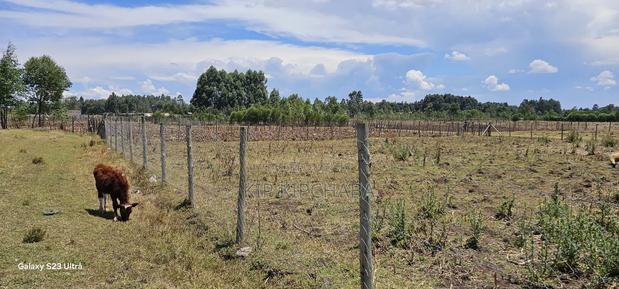 Prime Plot for Sale in Royalton Annex Eldoret