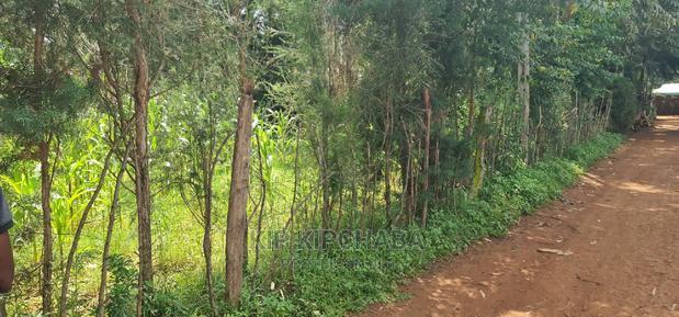 2 Plots For Sale In Kamagut Eldoret