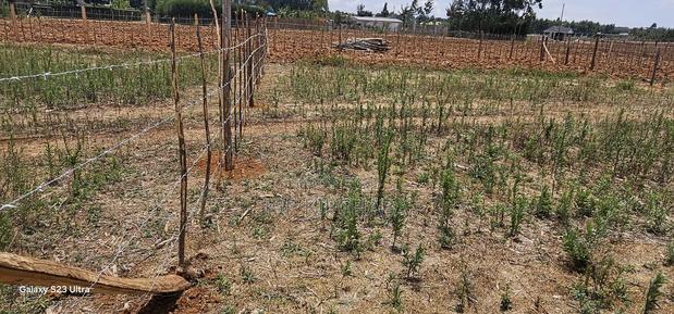 Plots For Sale Eldoret Kiplombe Kibulgeny