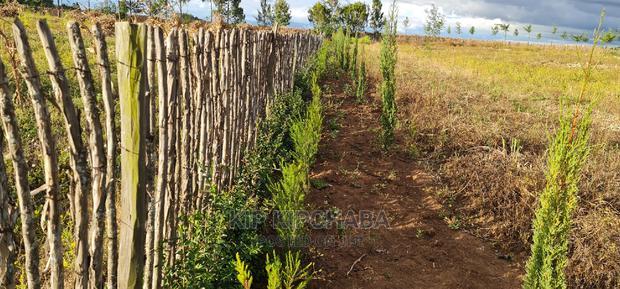 2bdrm Farm House in Chembulet, Sergoit for sale