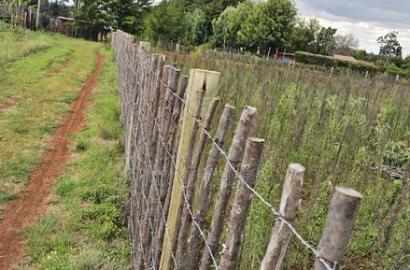 1/4 Plot for Sale in Kaptuli Chembulet Dispensary Eldoret