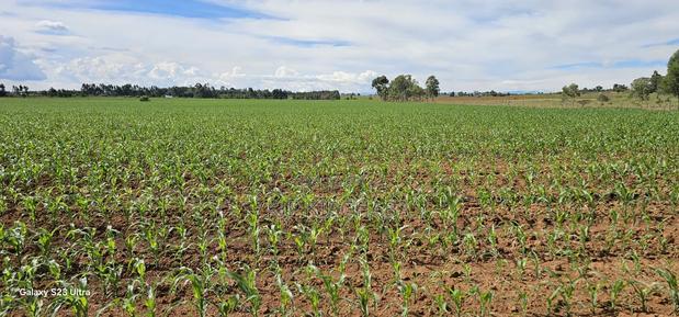 4 Acres for Sale in Kapropu Eldoret Fully Arable