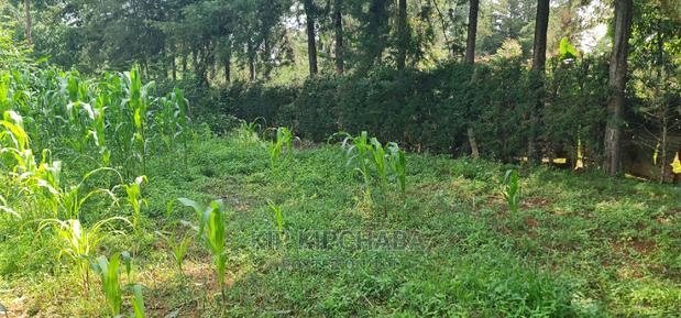 2 Plots For Sale In Kamagut Eldoret