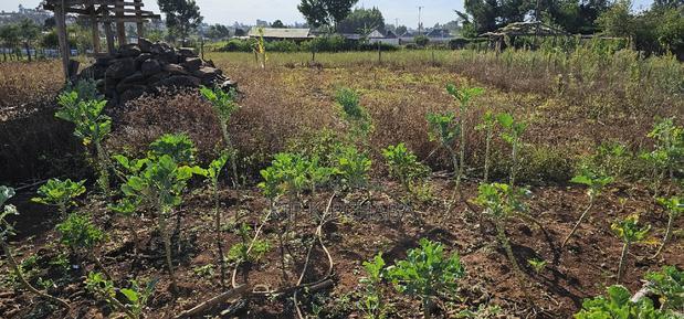 Prime Plot for Sale in Kapsoya Deligacy in Eldoret