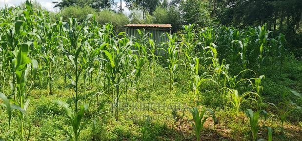 2 Plots For Sale In Kamagut Eldoret