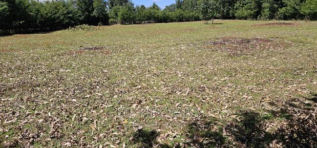 Plots for Sale in Racecours Borderingelgonview in Eldoret