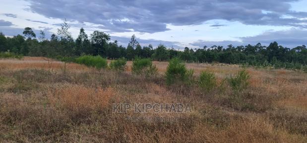 Full 1/2 Acre Plot for Sale in Kiplombe Eldoret
