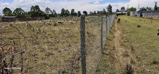 Prime Plot for Sale in Royalton Annex Eldoret