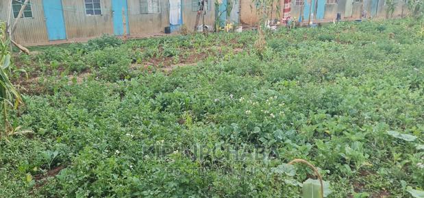 1/2 Acre For Ssle In Kapsoya Estate In Eldoret