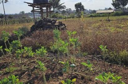 Prime Plot for Sale in Kapsoya Deligacy in Eldoret