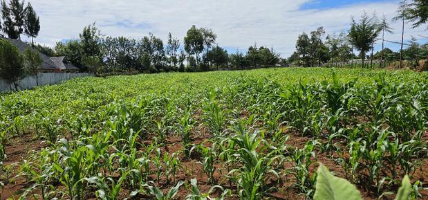 Prime 1/2 Acre for Sale in Kiplombe Eldoret
