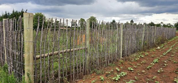 1/4 Plot for Sale in Kaptuli Chembulet Dispensary Eldoret