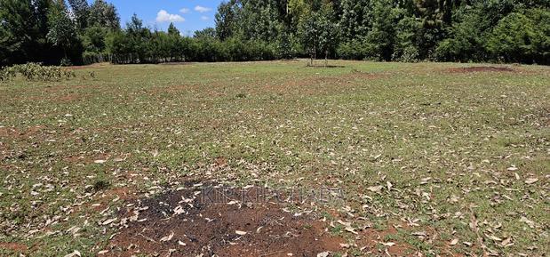 Plots for Sale in Racecours Borderingelgonview in Eldoret