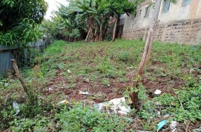 Prime Plot in Chuka Town