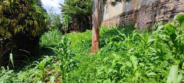 Prime Plot in Chuka Town