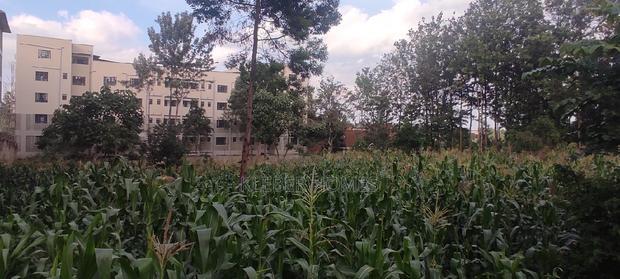 3/4 Acre Commercial Plot for Sale at Thindigua