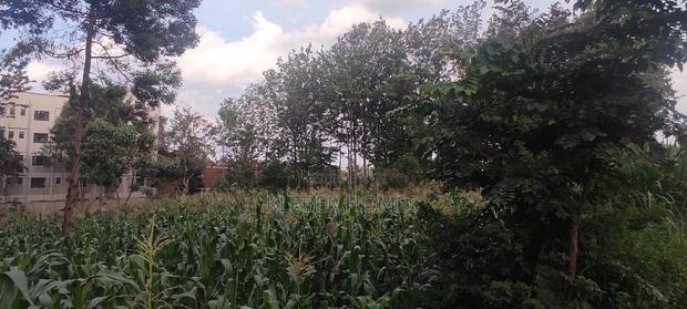 3/4 Acre Commercial Plot for Sale at Thindigua