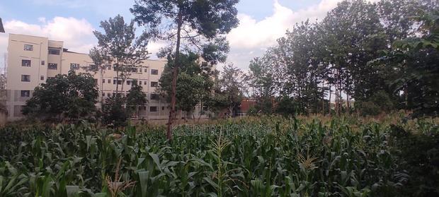 3/4 Acre Commercial Plot for Sale at Thindigua