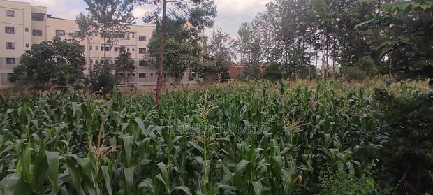 3/4 Acre Commercial Plot for Sale at Thindigua