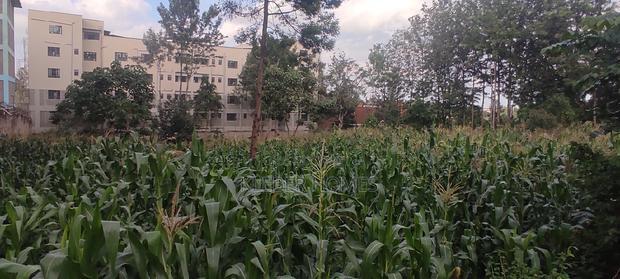 3/4 Acre Commercial Plot for Sale at Thindigua