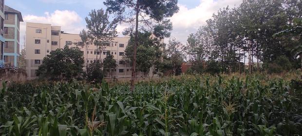 3/4 Acre Commercial Plot for Sale at Thindigua