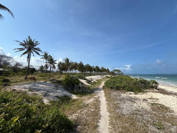 1.25 Acre Beach Plot for Sale in Kikambala Ls203