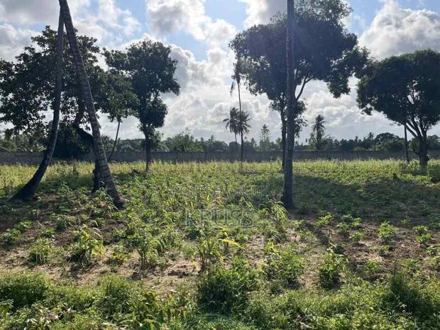 1 Acre at Sheriani/Vipingo Touching Malindi Highway Ls198