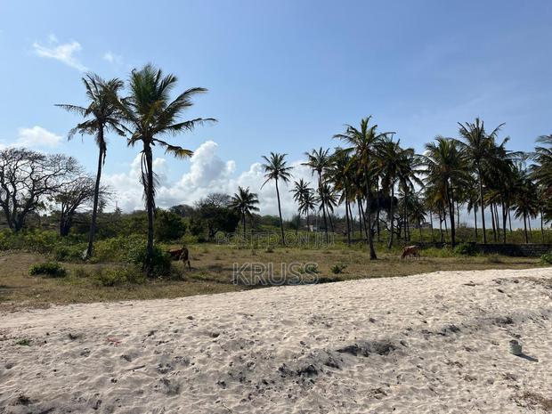 1.25 Acre Beach Plot for Sale in Kikambala Ls203