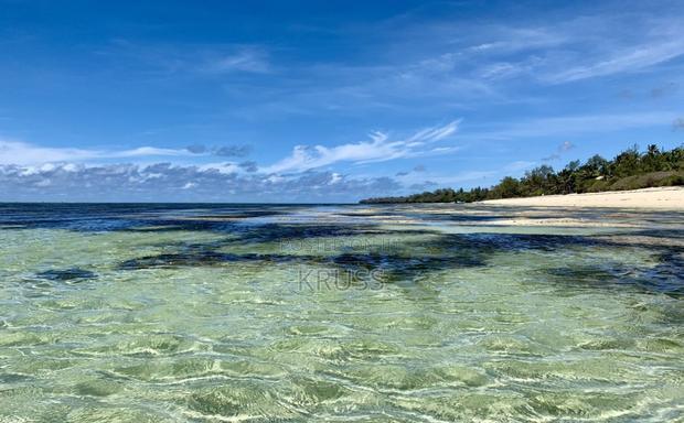 2.5 Acre Plot 2nd Row With Beach Access for Sale in Vipingo