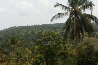 10.5 Acre Plot of Land for Sale Along Vipingo Ridge