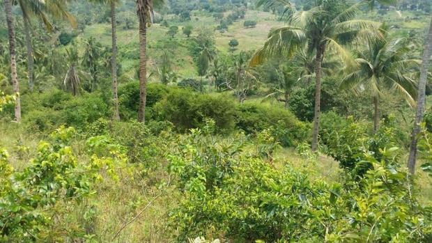 10.5 Acre Plot of Land for Sale Along Vipingo Ridge