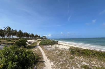 1.25 Acre Beach Plot for Sale in Kikambala Ls203
