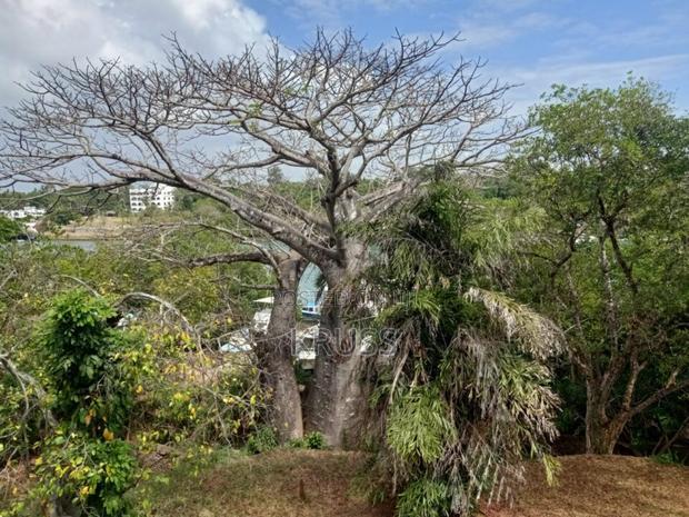 1/4 Acre With Ocean Access for Sale in Shanzu Ls145
