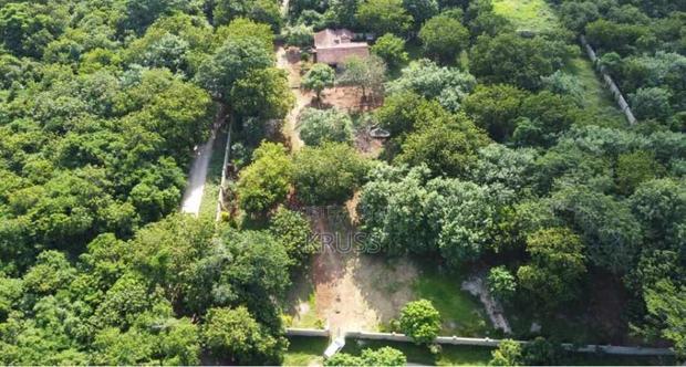 2 Acre Plot for Sale in Vipingo , Kuruwitu Beach