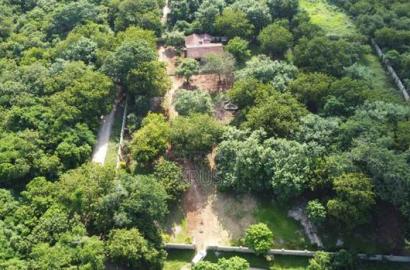 2 Acre Plot for Sale in Vipingo , Kuruwitu Beach