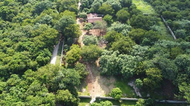 2 Acre Plot for Sale in Vipingo , Kuruwitu Beach