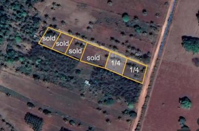 Quarter Acre Piece of Land for Sale at Vipingo-Gongoni