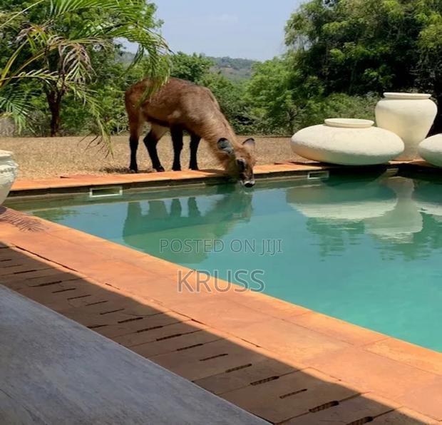 Furnished 5bdrm Farm House in Vipingo for sale