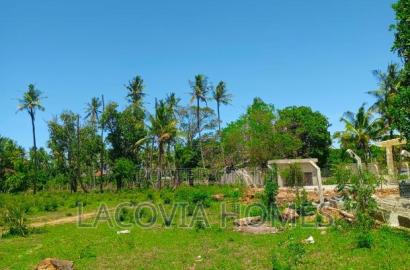 100x100 Plot for Sale(30 Units)