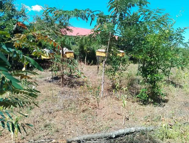 Half Acre Within Mathingira Township Sagana Makutano