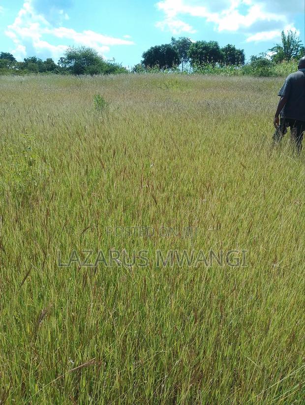 One Acre Mwea Karaba Kikumini Area Wango