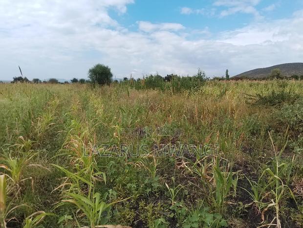 2 Acres of Land at Kakawa Area Embu Mwea