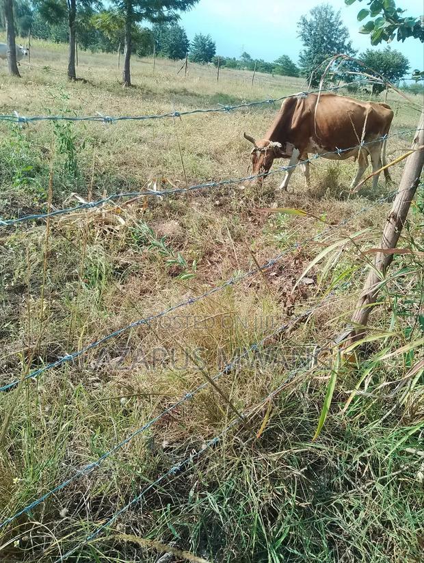 2 Acres at Rukanga Sagana Area 1.5km From Highway