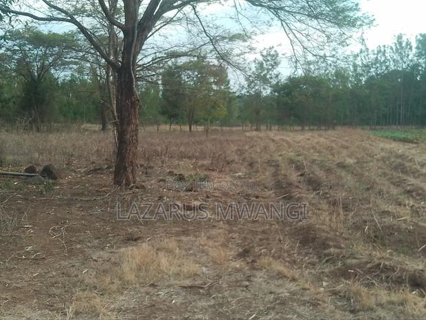 5 Acres of Land Good for Hotel Touching R. Tana