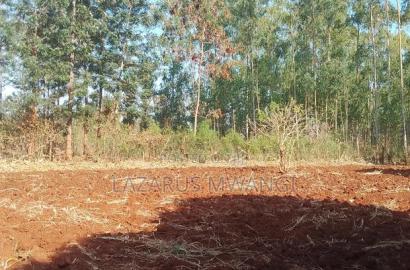0.15 Hac Land Along Near Sagana Dual-Carriage Wachoro