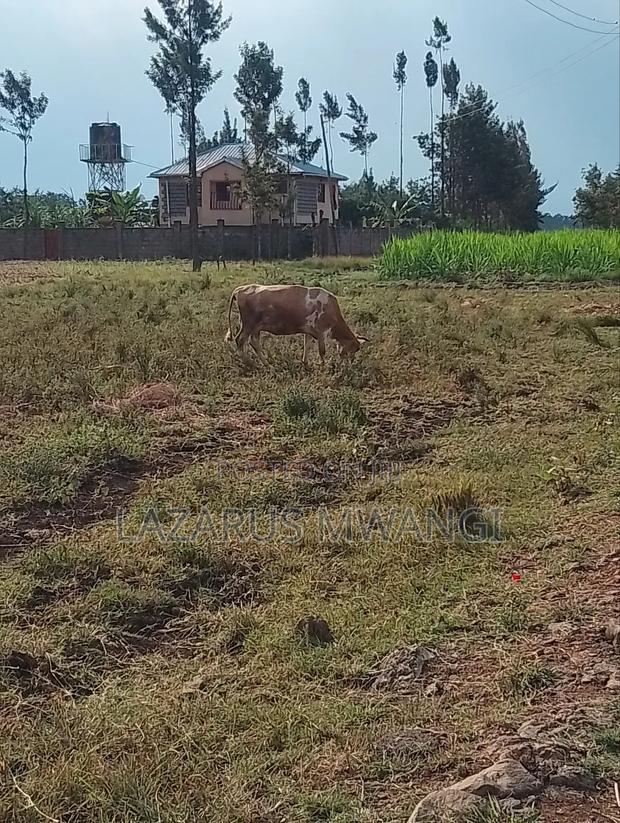2 Acres at Rukanga Sagana Area 1.5km From Highway