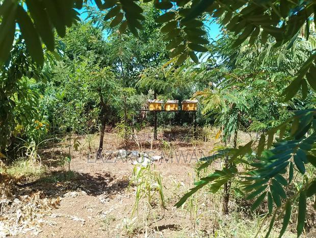 Half Acre Within Mathingira Township Sagana Makutano