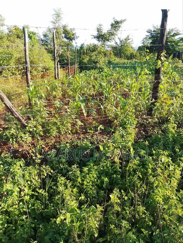Eighth Acre Plot for Sale at Kamweli Makutano