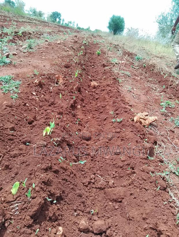 2 Acre for Sale at Muthiru Embu County