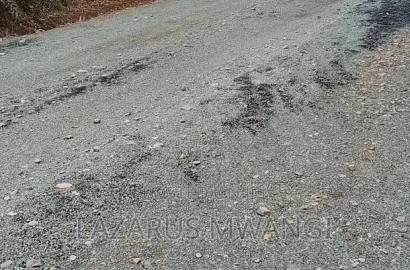 50 by 100 Plot at Kamweli Area Few Minutes From Makutano